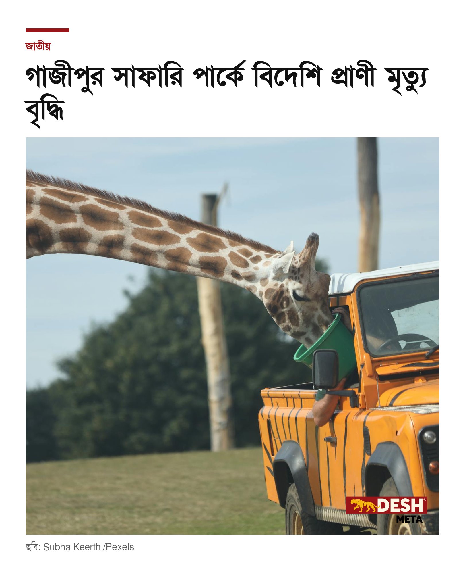 গাজীপুর সাফারি পার্কে বিদেশি প্রাণী মৃত্যু বৃদ্ধি