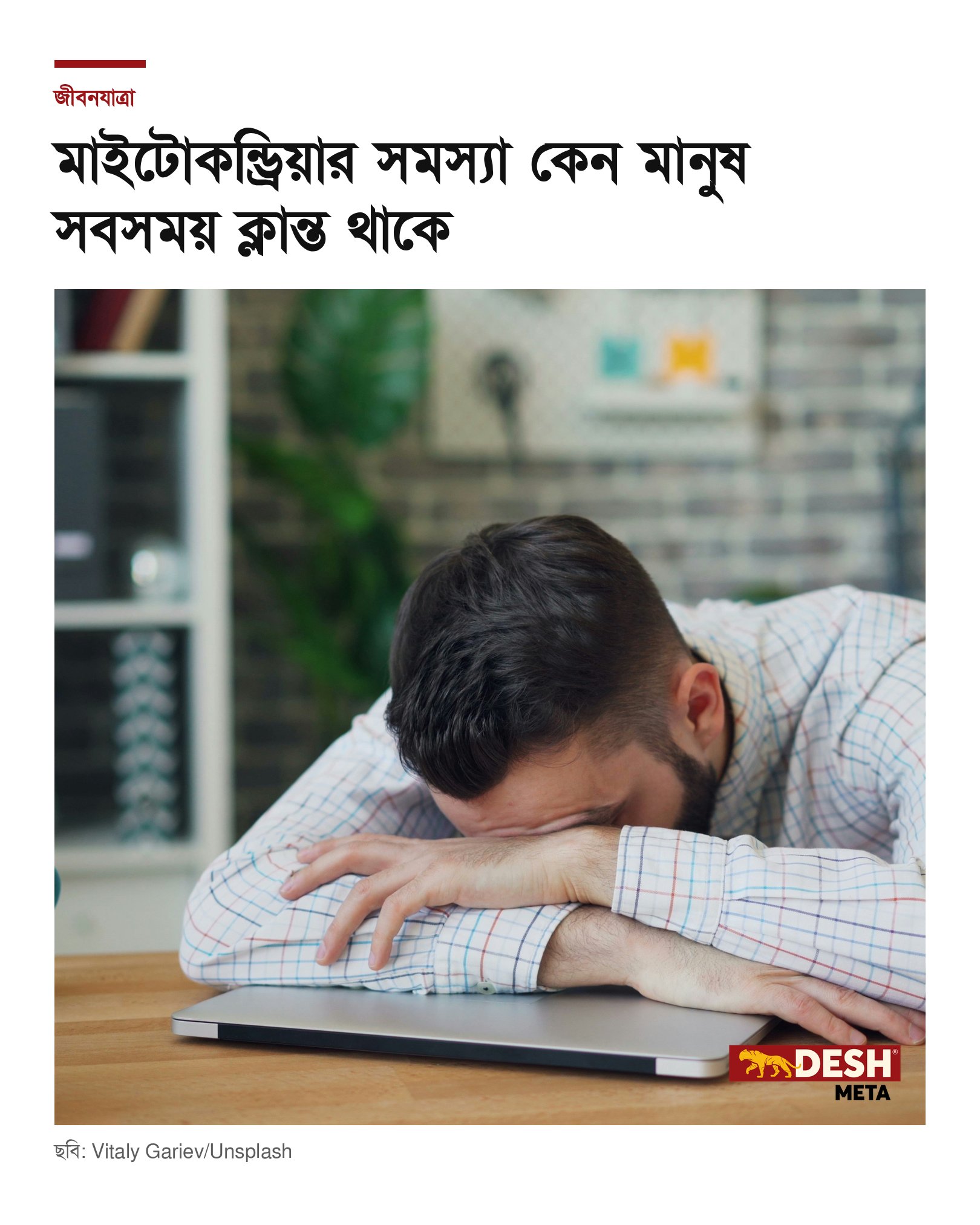 মাইটোকন্ড্রিয়ার সমস্যা কেন মানুষ সবসময় ক্লান্ত থাকে