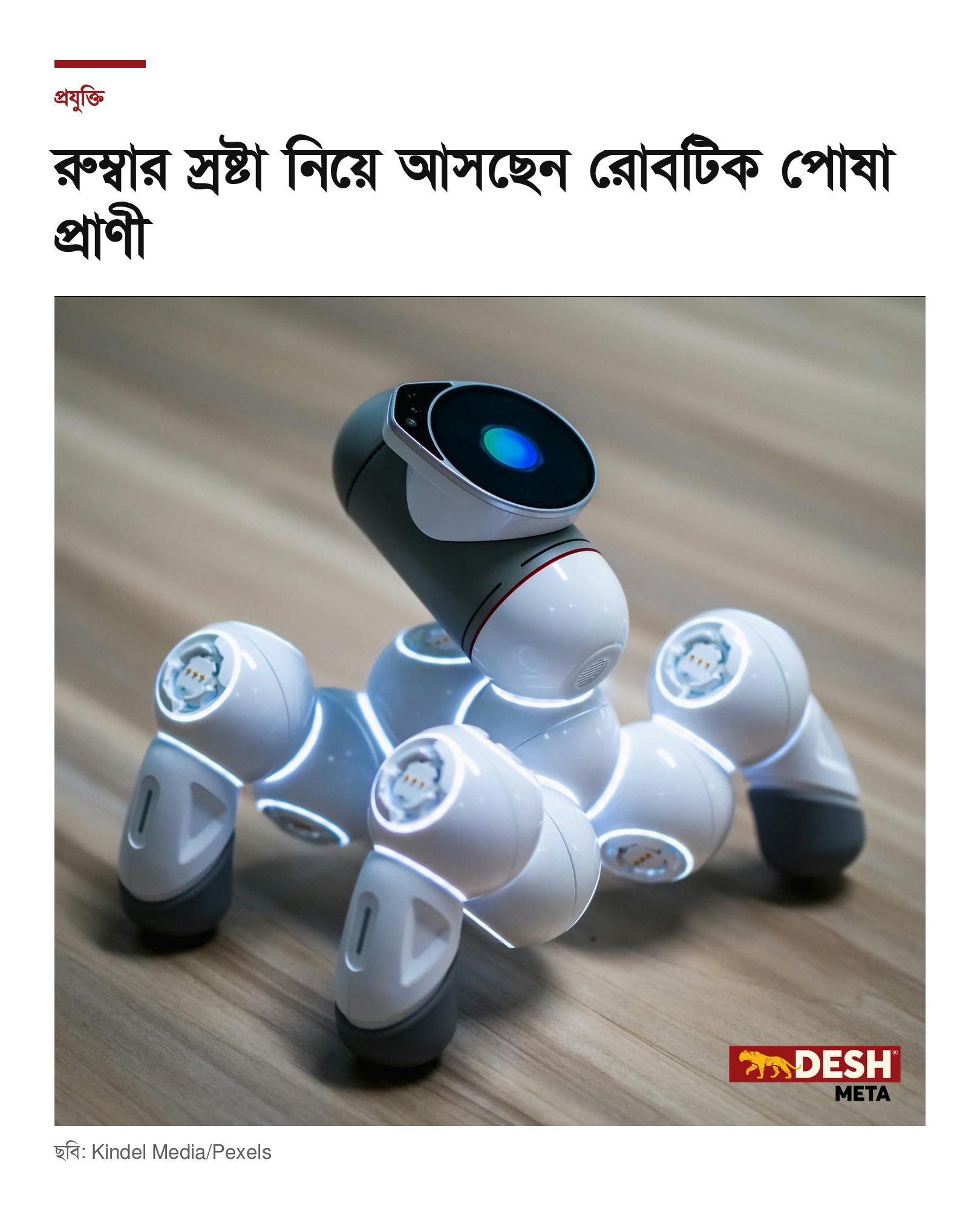 রুম্বার স্রষ্টা নিয়ে আসছেন রোবটিক পোষা প্রাণী