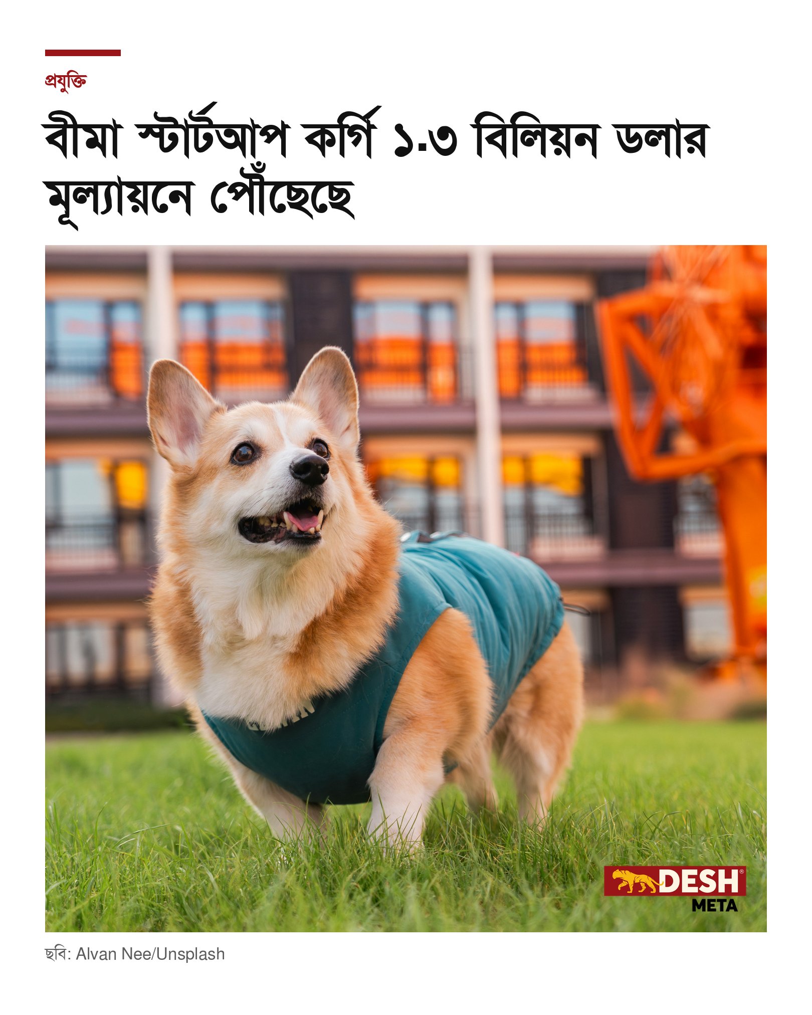 বীমা স্টার্টআপ কর্গি ১.৩ বিলিয়ন ডলার মূল্যায়নে পৌঁছেছে