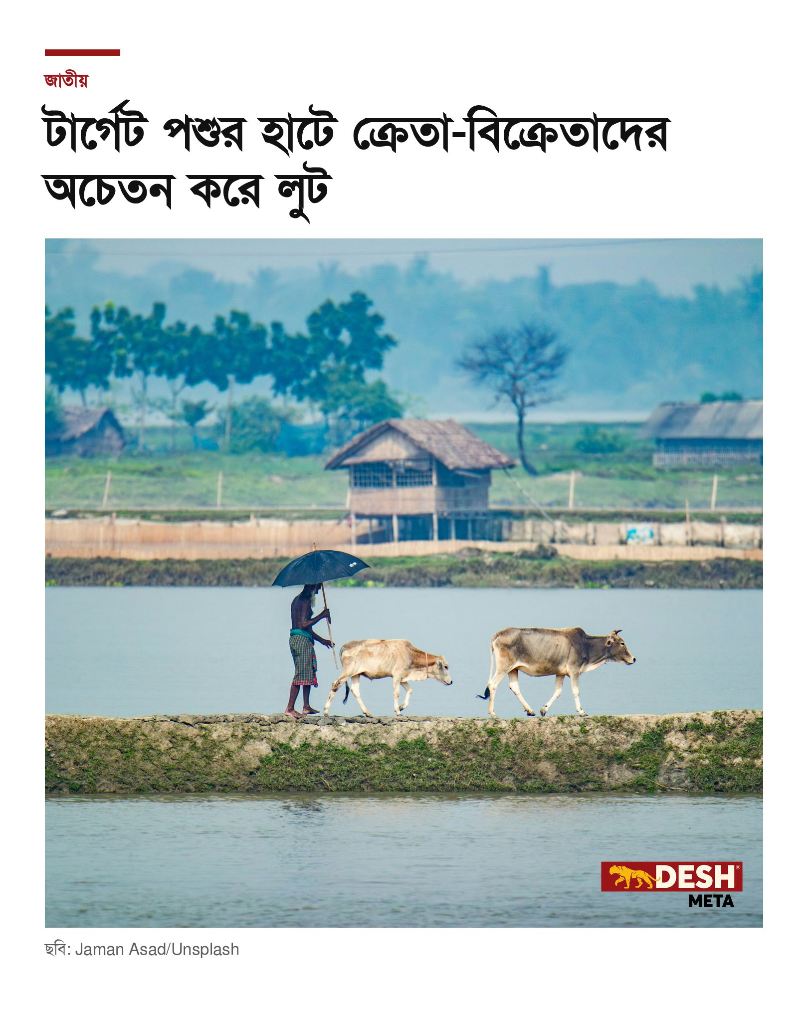 টার্গেট পশুর হাটে ক্রেতা-বিক্রেতাদের অচেতন করে লুট