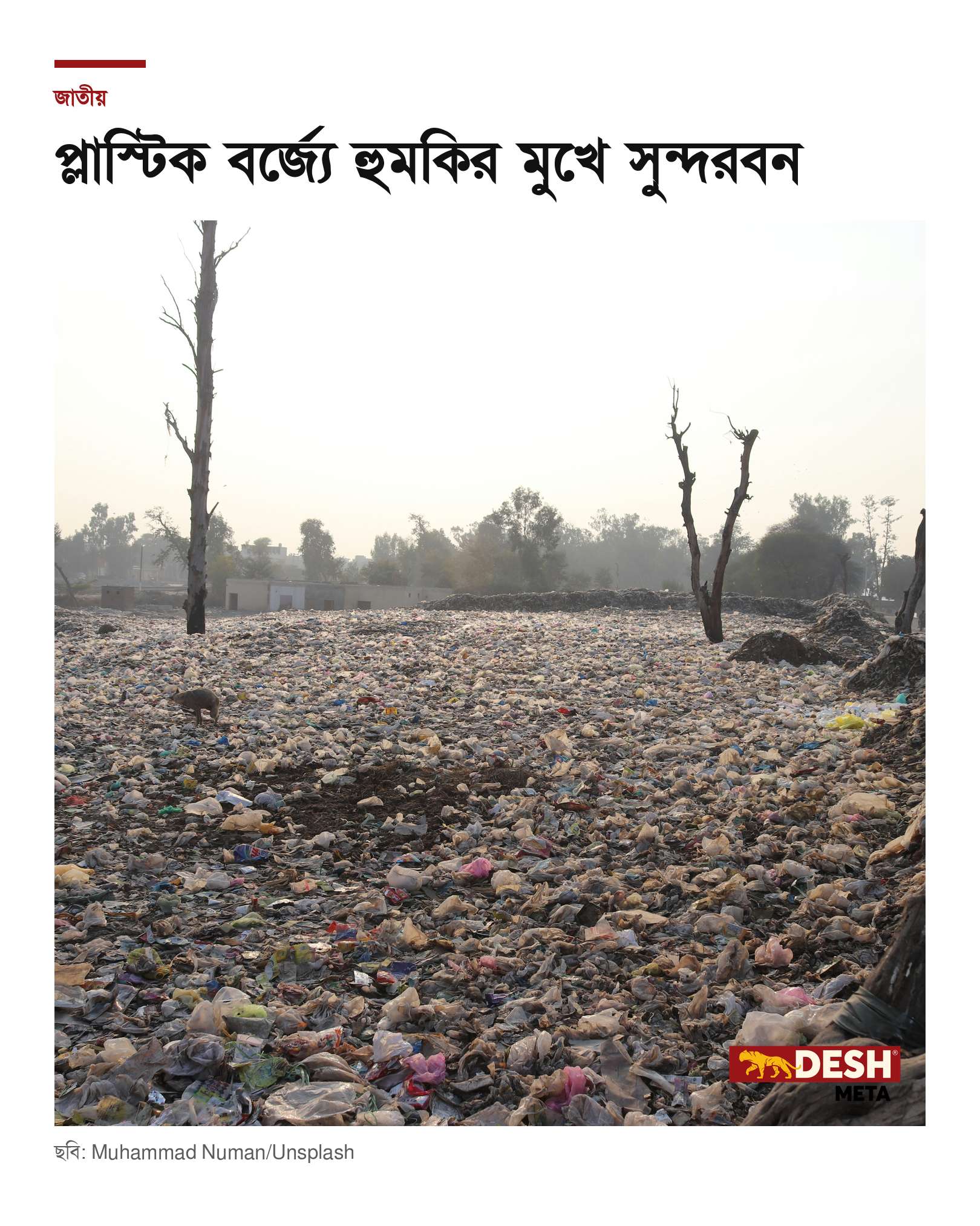 প্লাস্টিক বর্জ্যে হুমকির মুখে সুন্দরবন