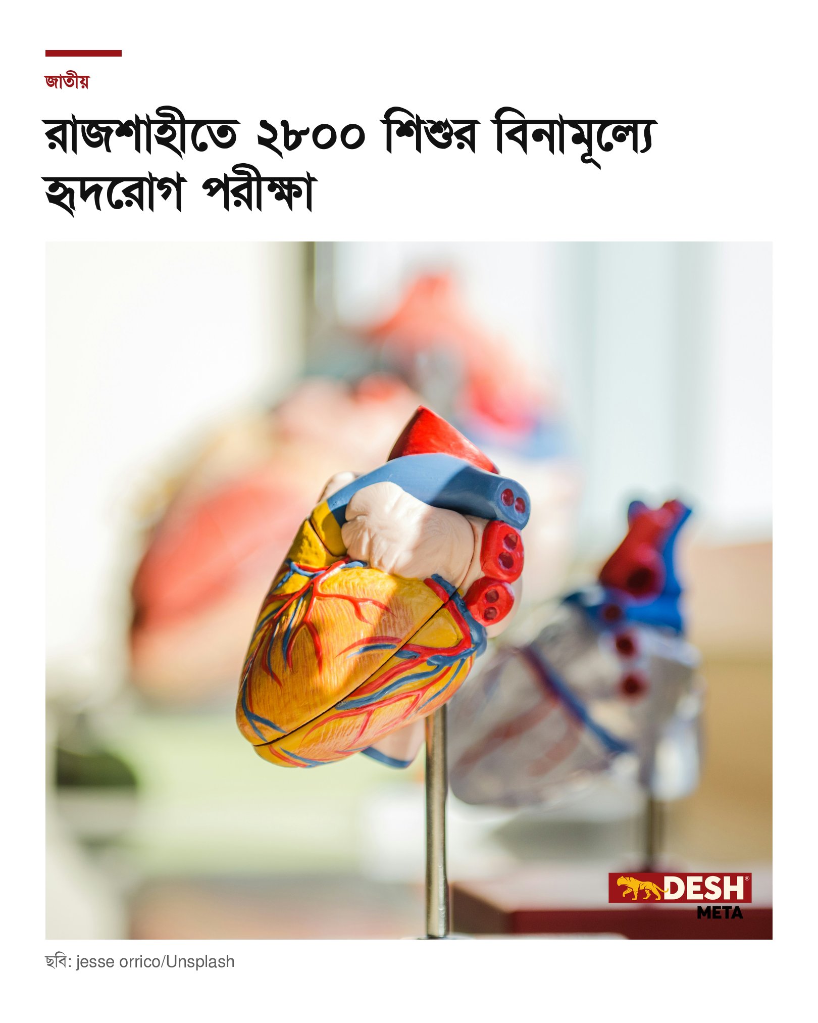 রাজশাহীতে ২৮০০ শিশুর বিনামূল্যে হৃদরোগ পরীক্ষা