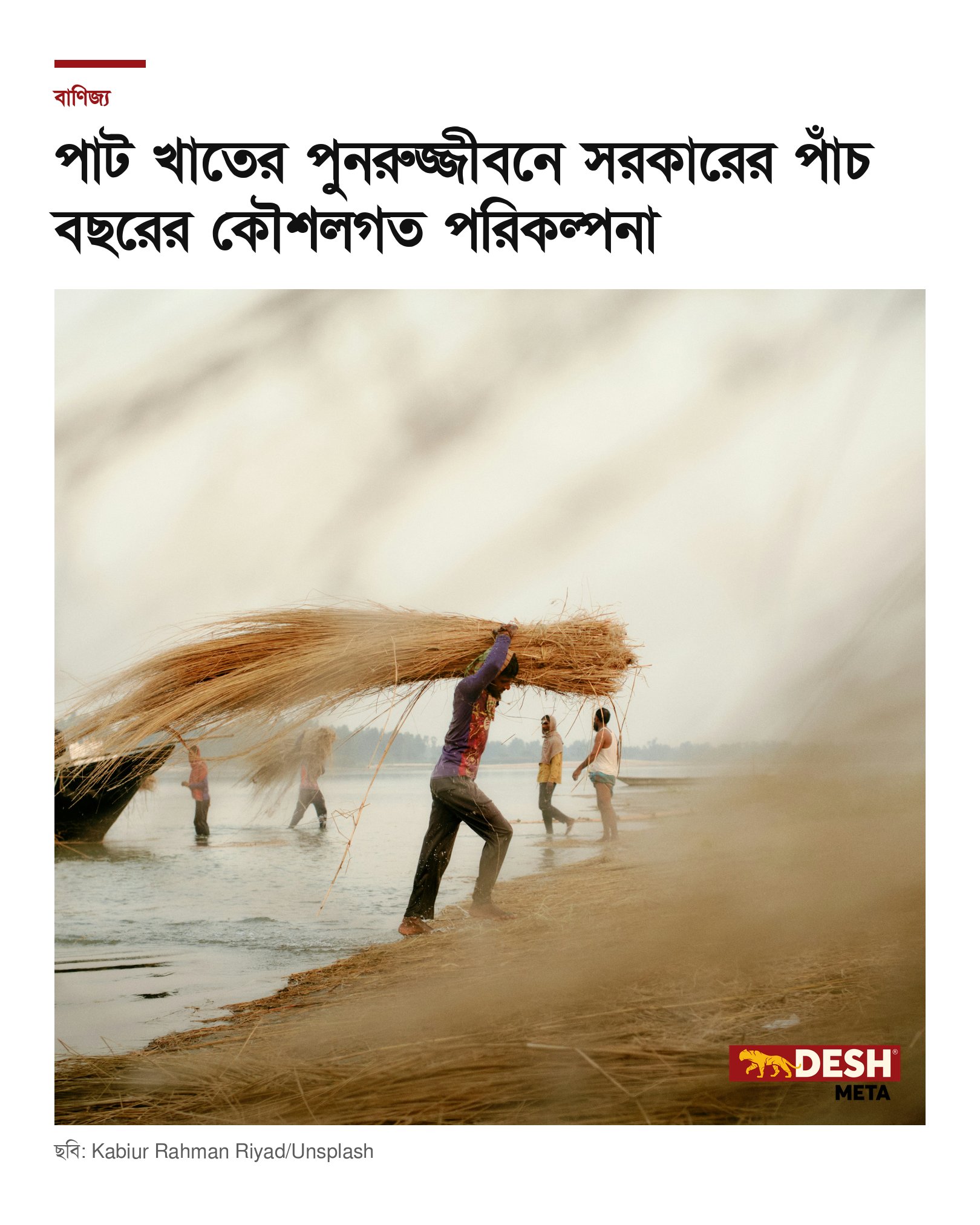 পাট খাতের পুনরুজ্জীবনে সরকারের পাঁচ বছরের কৌশলগত পরিকল্পনা