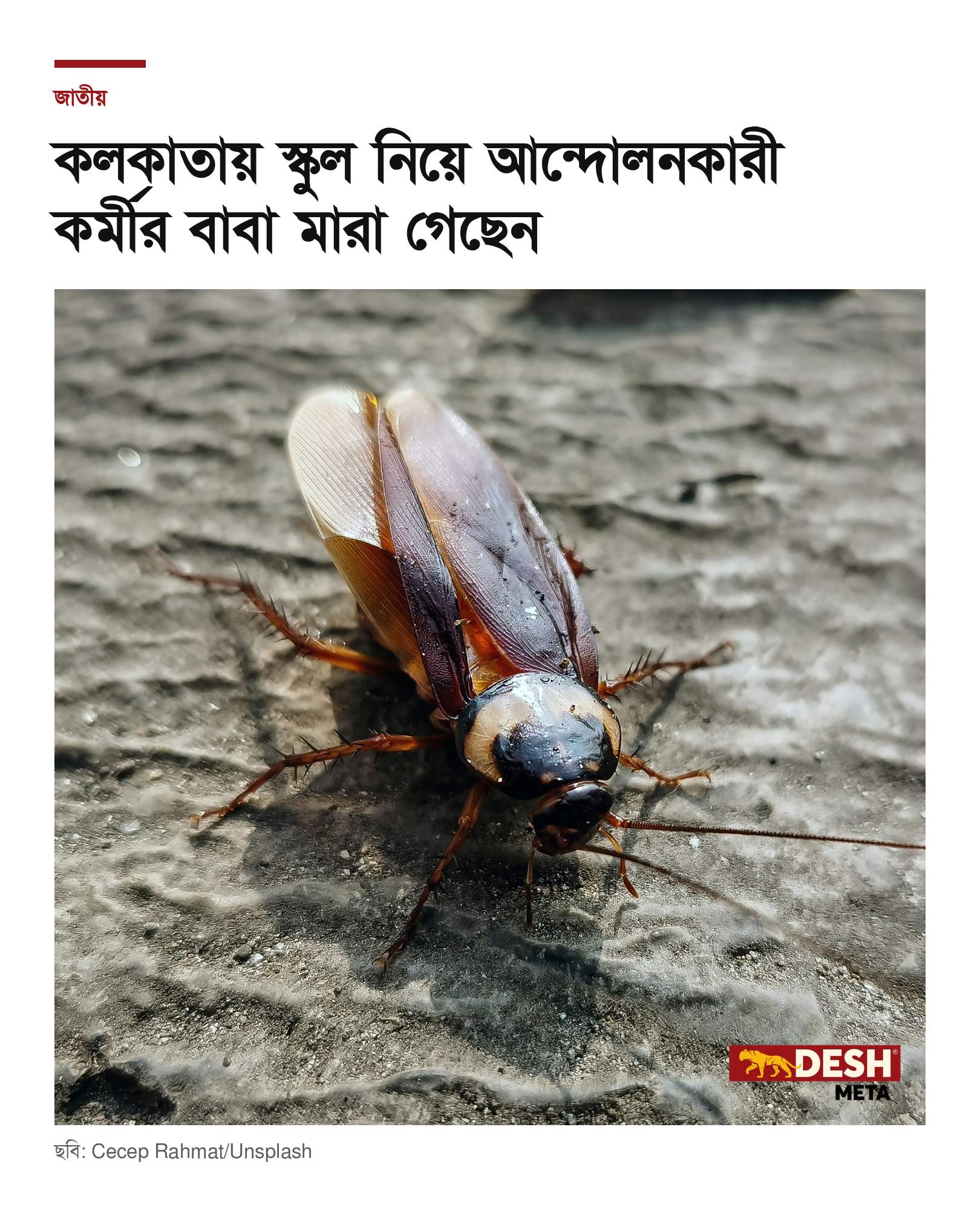কলকাতায় স্কুল নিয়ে আন্দোলনকারী কর্মীর বাবা মারা গেছেন