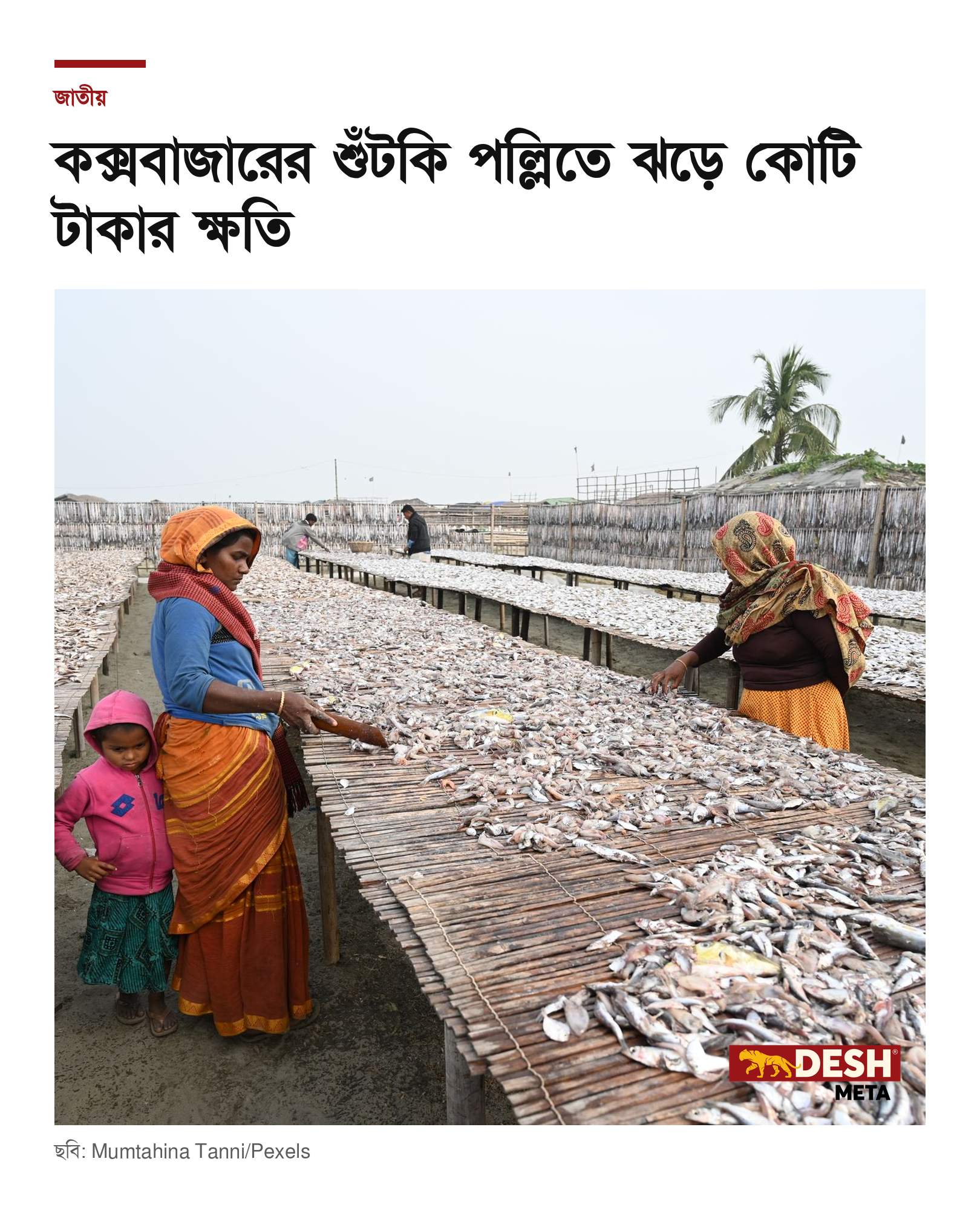 কক্সবাজারের শুঁটকি পল্লিতে ঝড়ে কোটি টাকার ক্ষতি