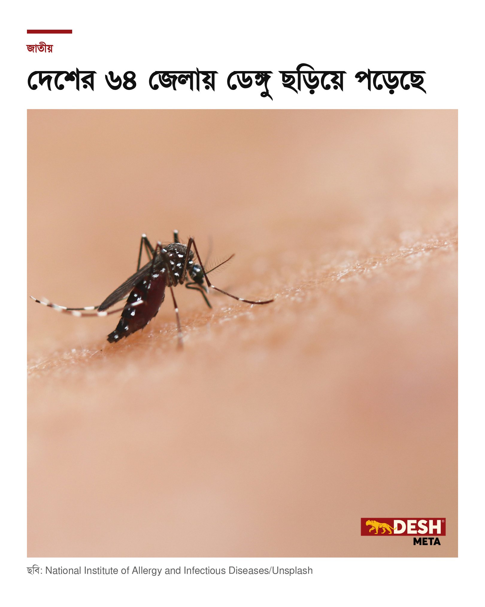 দেশের ৬৪ জেলায় ডেঙ্গু ছড়িয়ে পড়েছে