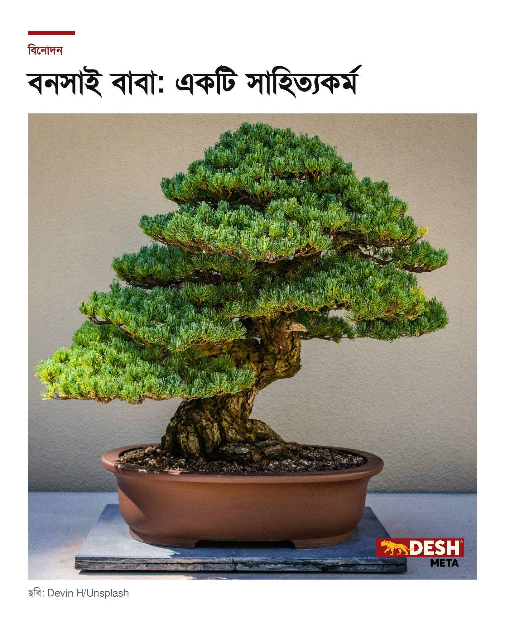 বনসাই বাবা: একটি সাহিত্যকর্ম