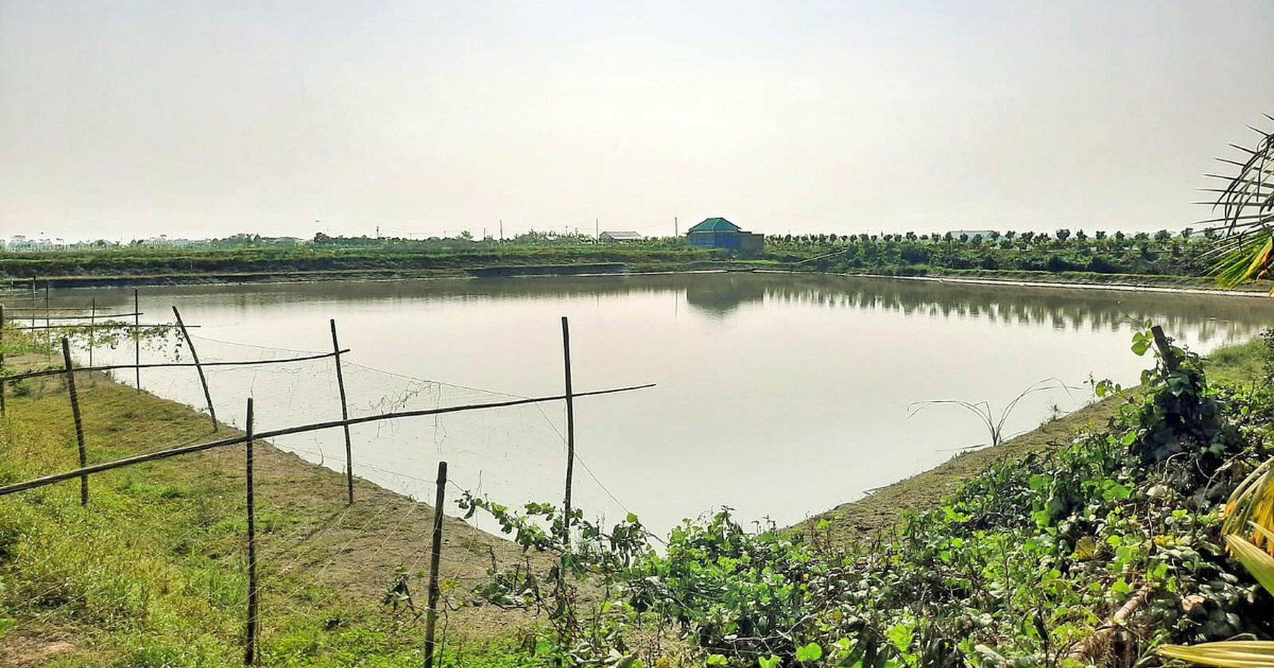 দীপু মনির ভাইয়ের ঘের থেকে পুলিশের মাছ বিক্রি, তদন্ত শুরু