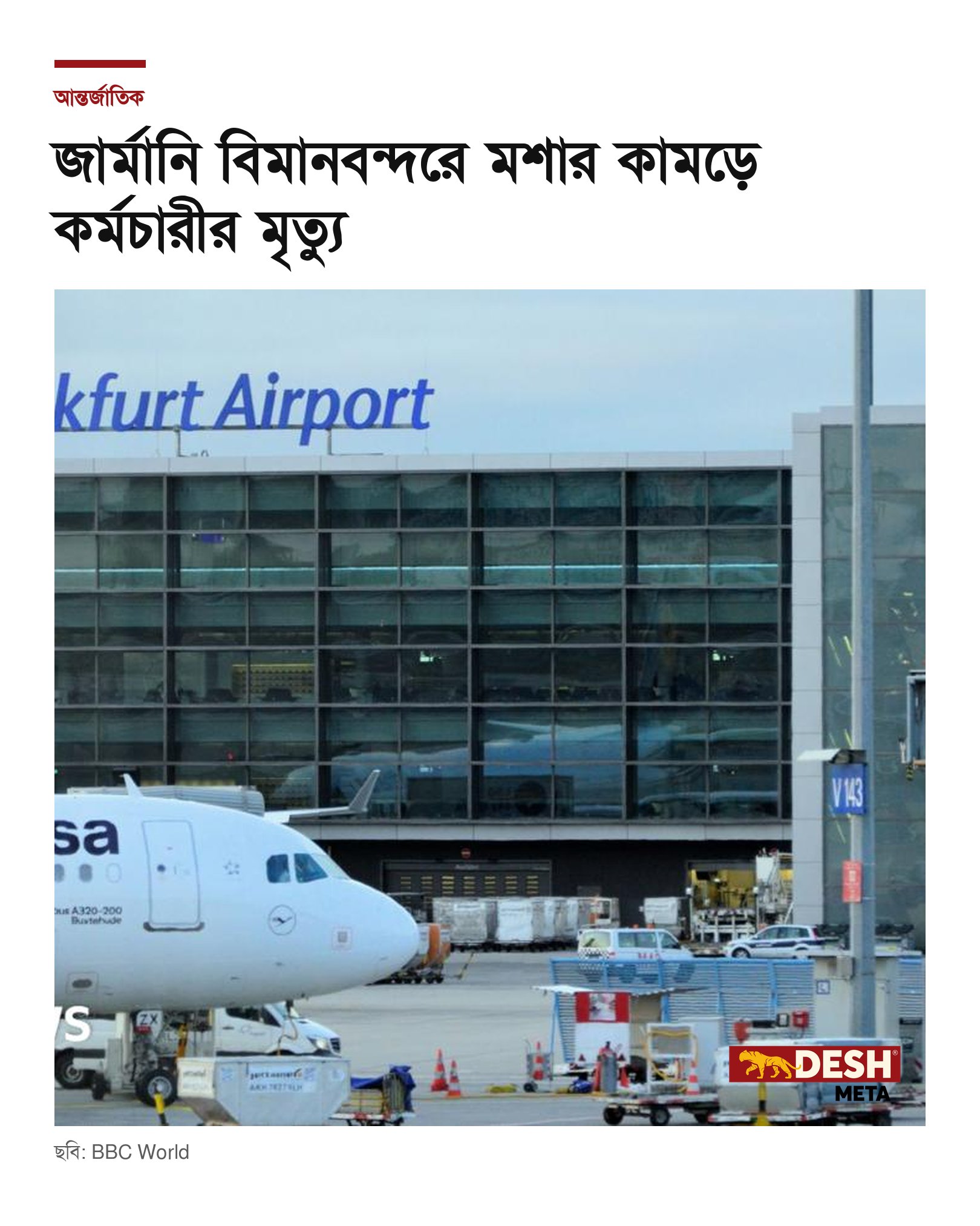 জার্মানি বিমানবন্দরে মশার কামড়ে কর্মচারীর মৃত্যু