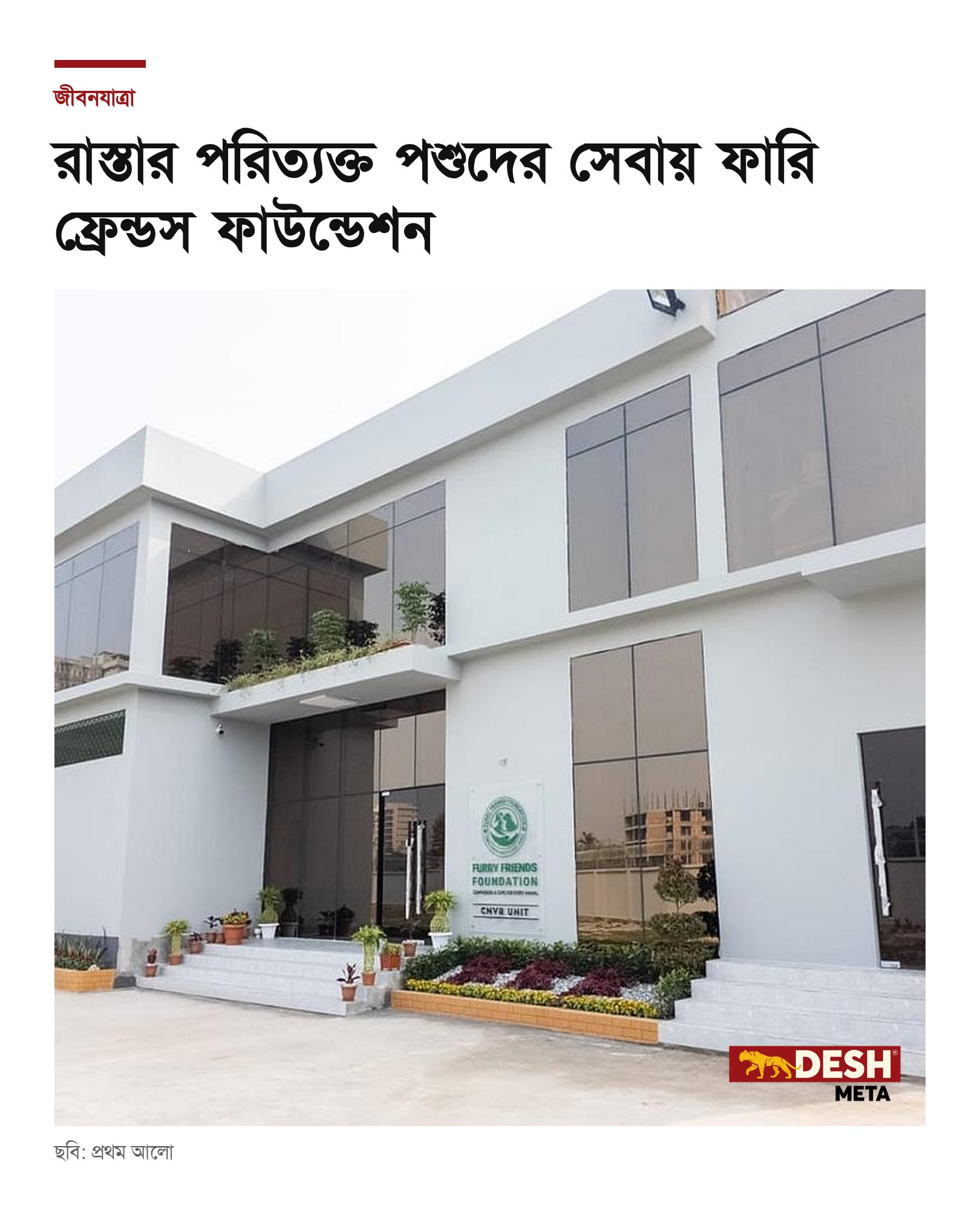 রাস্তার পরিত্যক্ত পশুদের সেবায় ফারি ফ্রেন্ডস ফাউন্ডেশন