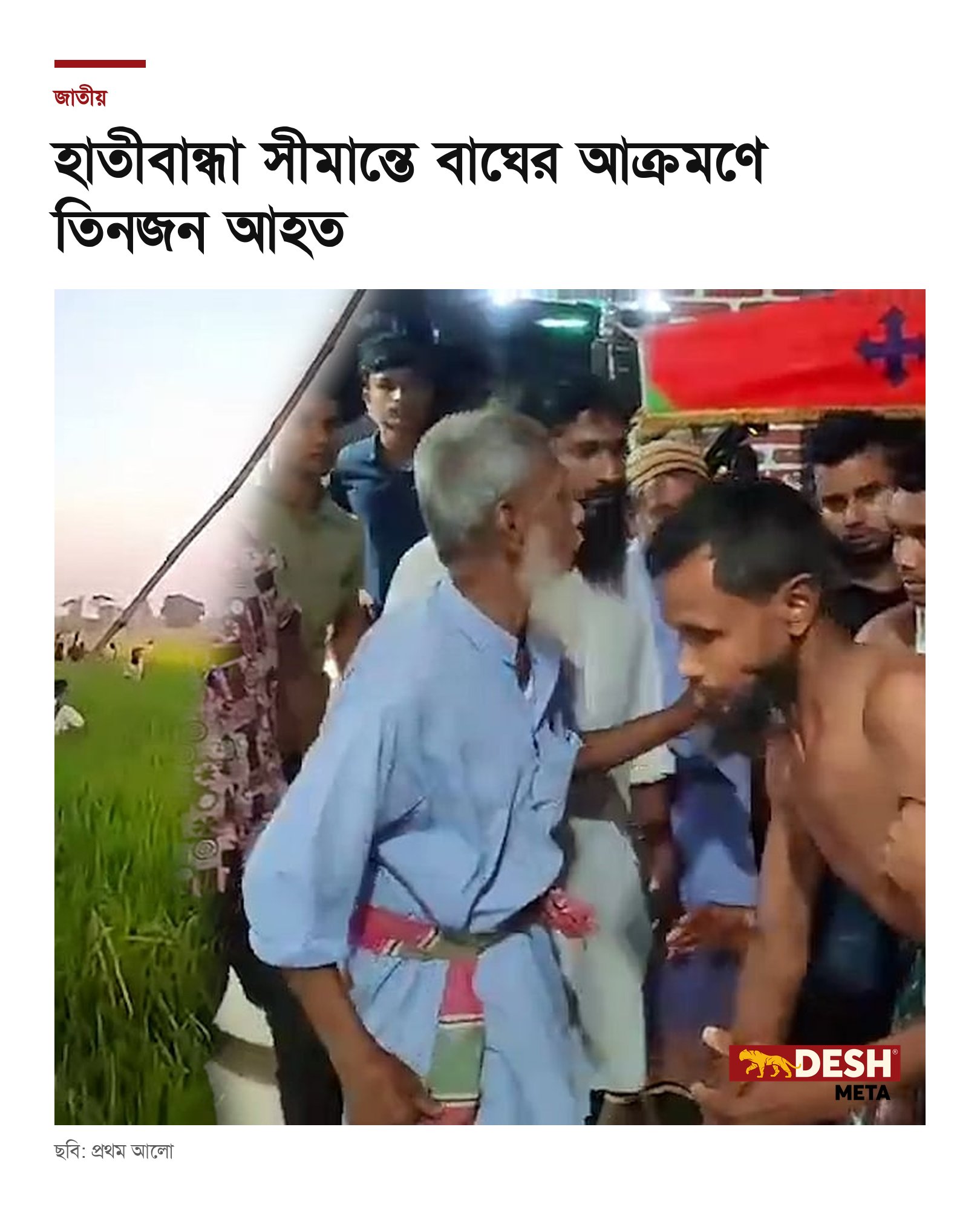 হাতীবান্ধা সীমান্তে বাঘের আক্রমণে তিনজন আহত